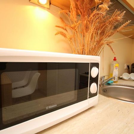 Studio Cozy Temeşvar Dış mekan fotoğraf