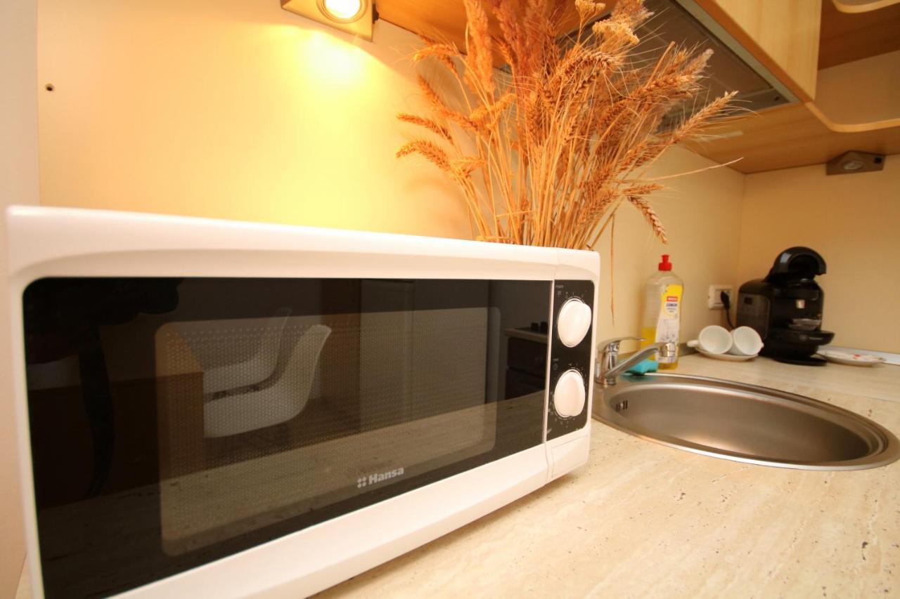 Studio Cozy Temeşvar Dış mekan fotoğraf